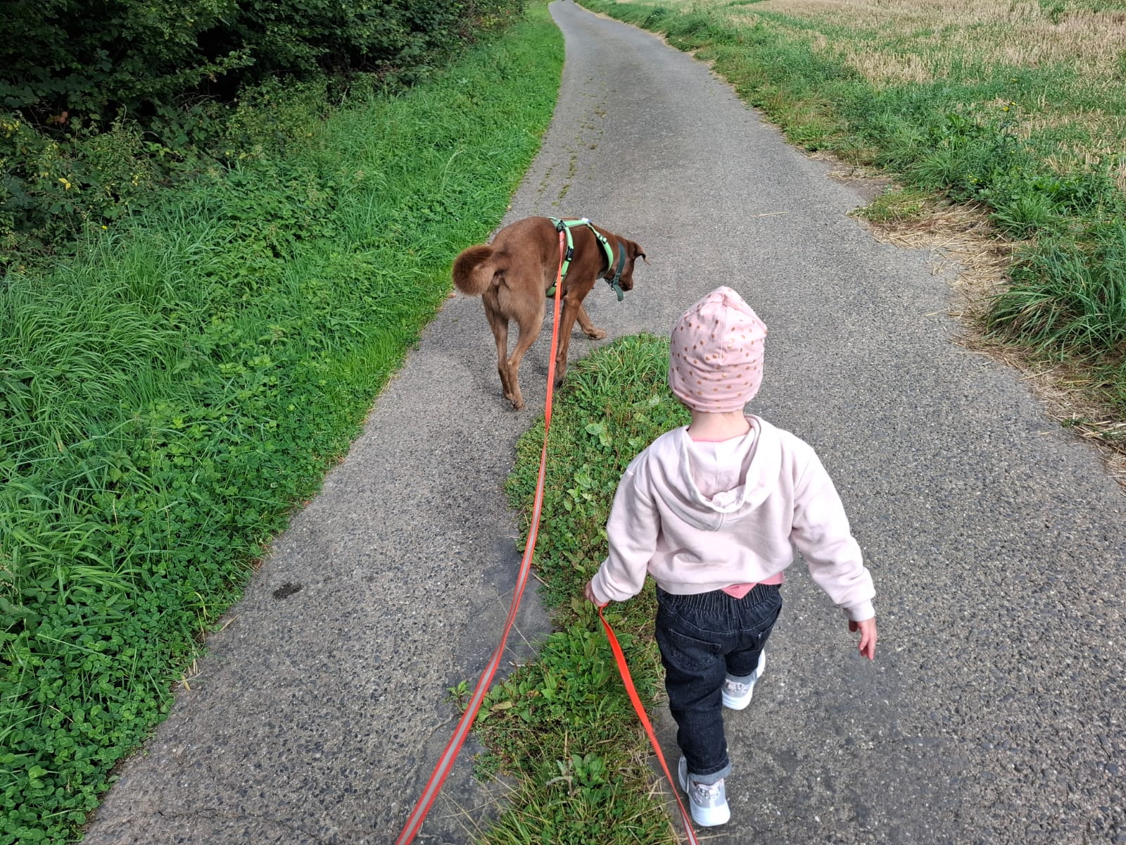 Ida mit Hund – Impression zum Angebot Hund & Kind, Hundeschule Hundenatur